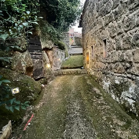 Casa Matilde Apartment Bassano in Teverina